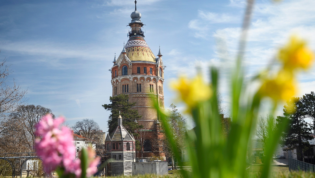 Wasserturm mit Frühlingsblumen im Vordergrund