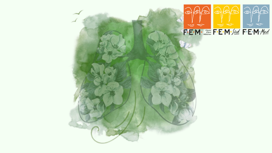 Vorschaubild zur Veranstaltung. Eine genaue Beschreibung finden Sie unter Details.